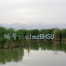 ǧ