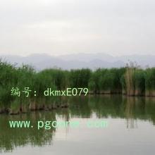 ҵ