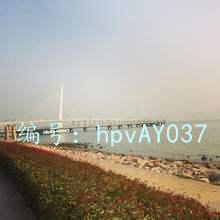 Ƶ