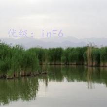 ȼ