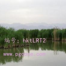 ֻ